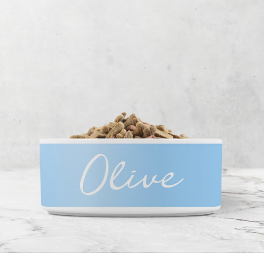 Personalized dog bowl in baby blue and white.