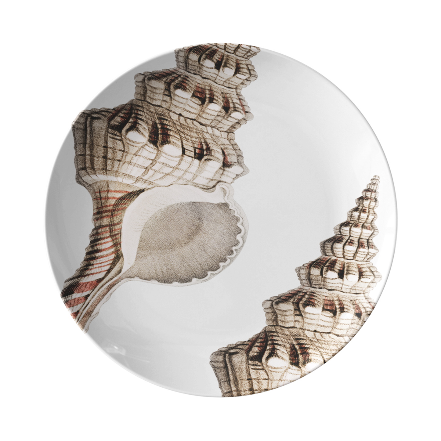 Conch Shell Print Plastic Modern Plate Set