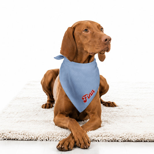 Brown dog wearing a blue pet bandana scarf personalized with name on a white background