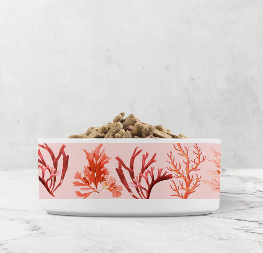 Heavy ceramic dog bowl or cat food and water bowls with colorful ocean coral sea life print in pink, orange and red.