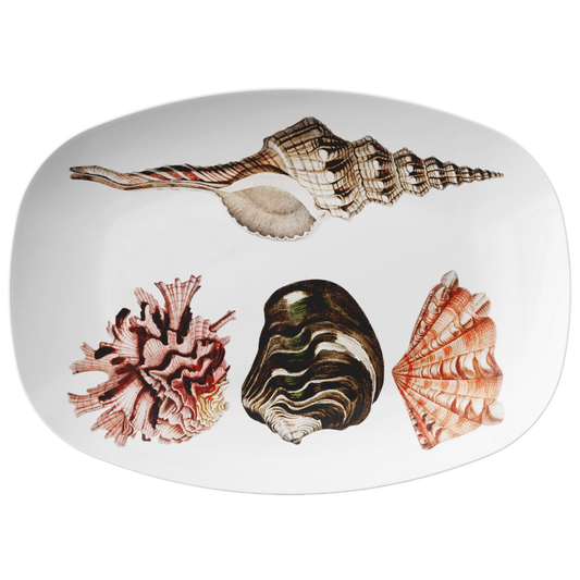 Nautical Seashell Collection Serving Platter, 10" x 14", vintage seashell illustration