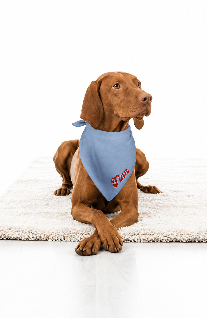 Personalized Dog Bandanas