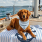 Nautical Stripe & Anchor Personalized Dog Bandana, Custom Pet Bandana, Blue & White