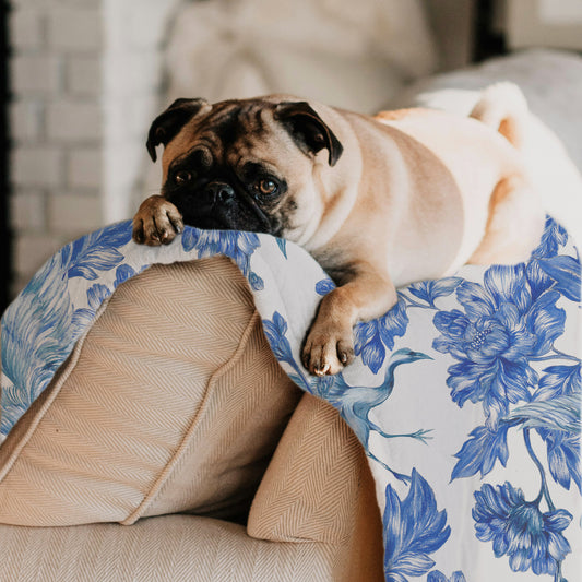 Personalized Dog Blanket with blue and white floral garden chinoiserie print