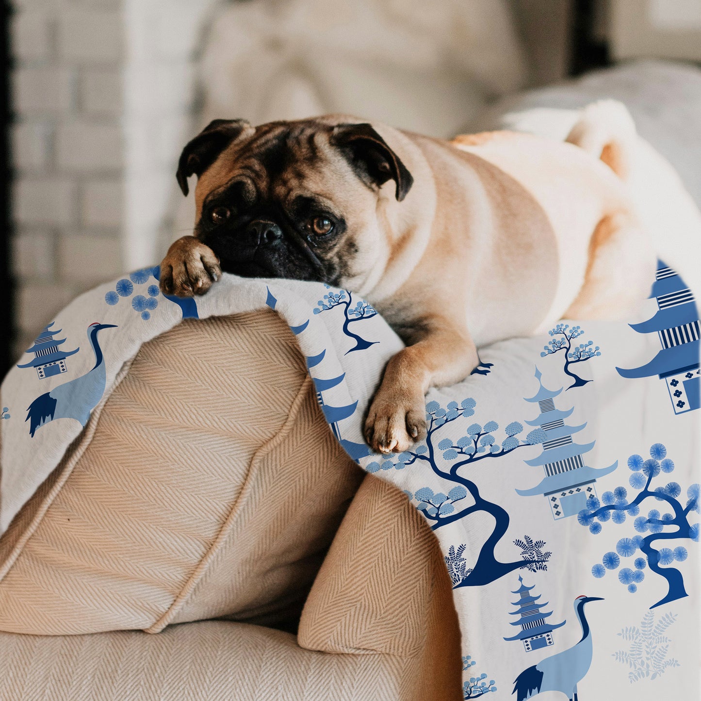 Custom personalized dog blanket in modern blue and white toile print