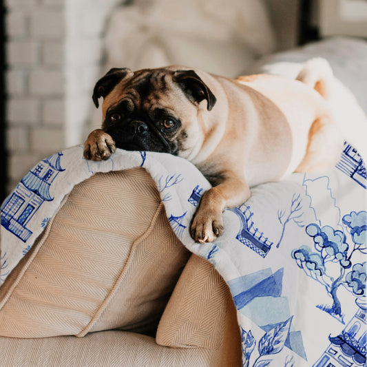 Personalized Pet Blanket, Chinoiserie Toile, Blue & White