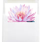 Personalized Birth Month Flower Boxed Notecards, July - Water Lily