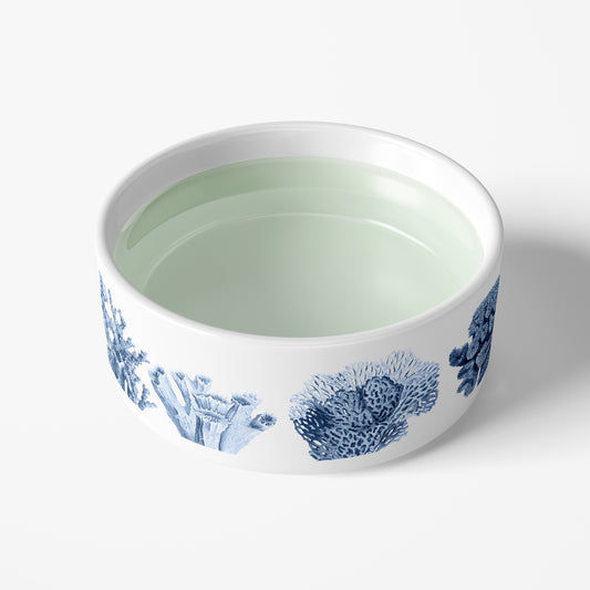 Ocean Coral Pet Bowl, Ceramic, White & Blue