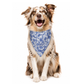 Dog wearing a blue floral bandana with custom name on a white background