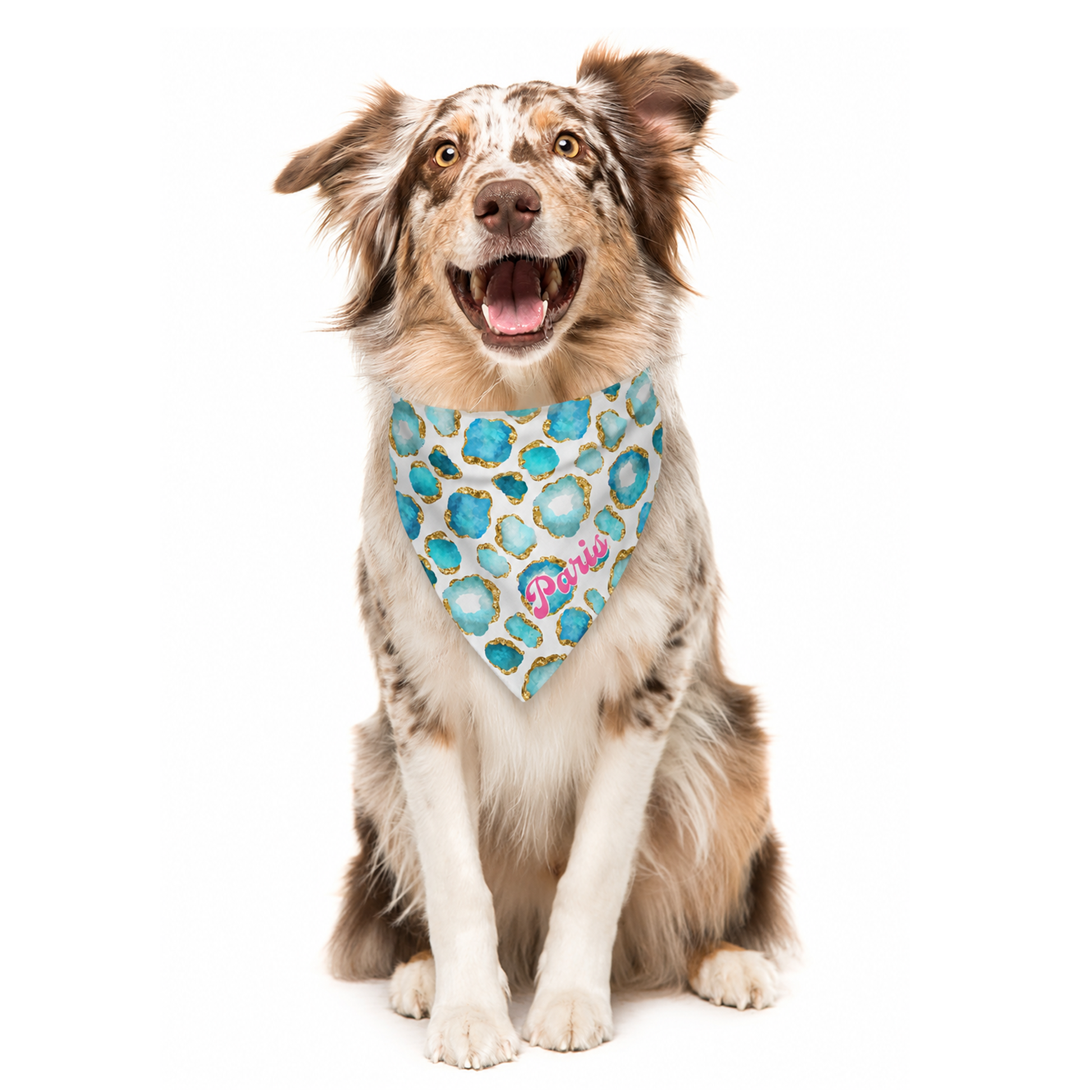 Dog wearing a blue, gold and white jewel patterned bandana with customized name on a white background