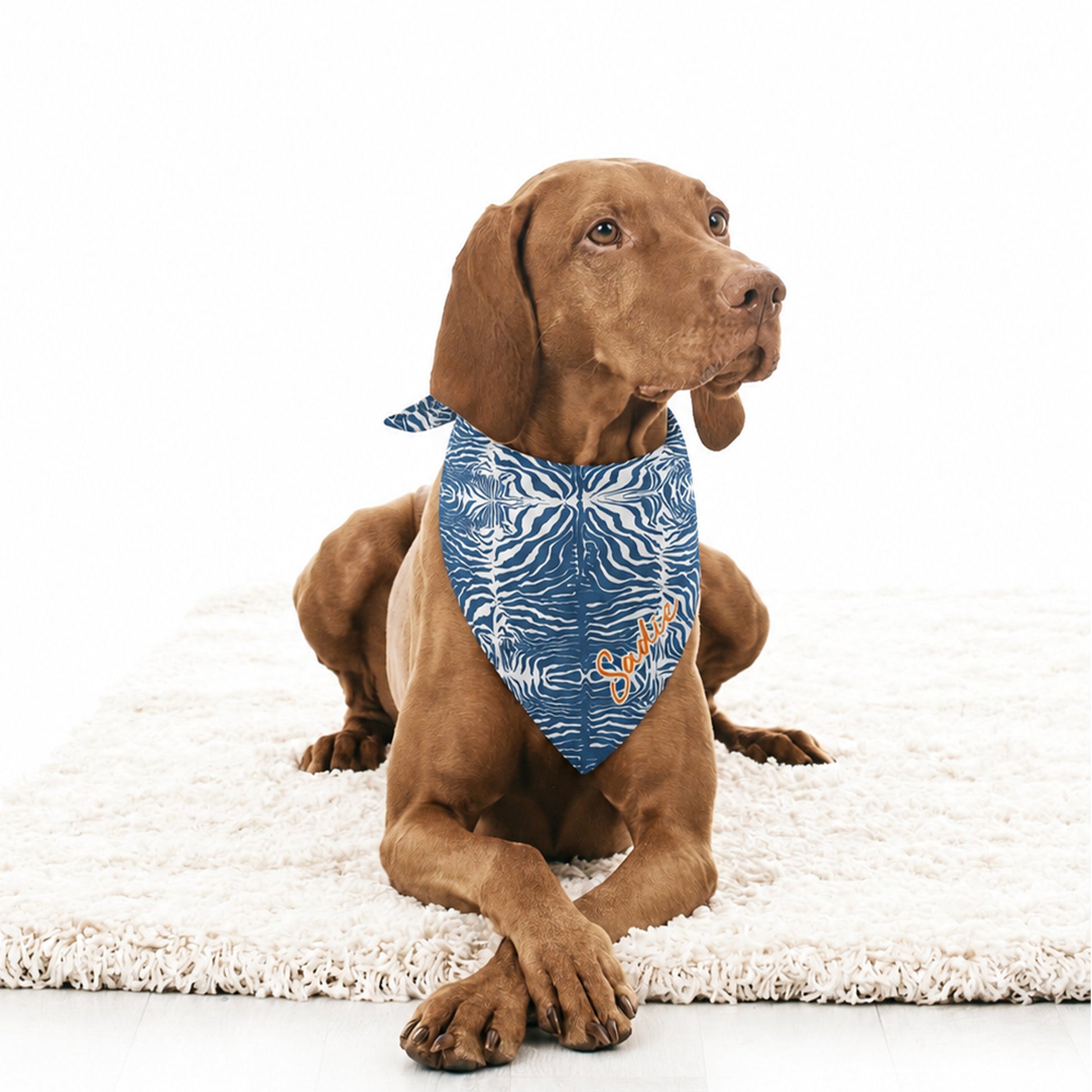 Brown dog wearing a blue and white dog bandana with a zebra pattern and custom name on a white background