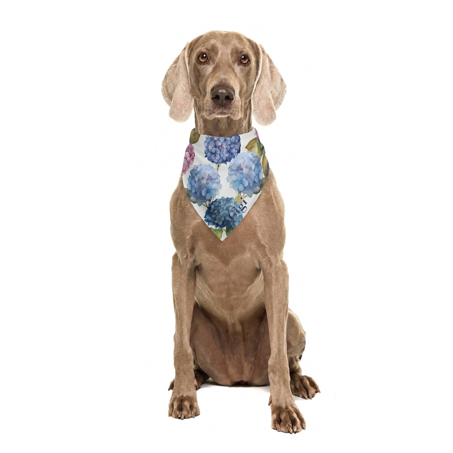 Hydrangea Floral Personalized Dog Bandana, Custom Pet Bandana, Blue, Pink & White