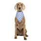 Dog wearing a blue and white ginger jars print dog bandana with custom name a white background