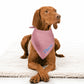 Chambray Look Personalized Dog Bandana, Custom Pet Bandana, Red