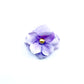 Dog Collar Flower Attachments with Beaded Center, Six Color Choices