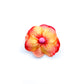 Dog Collar Flower Attachments with Beaded Center, Six Color Choices