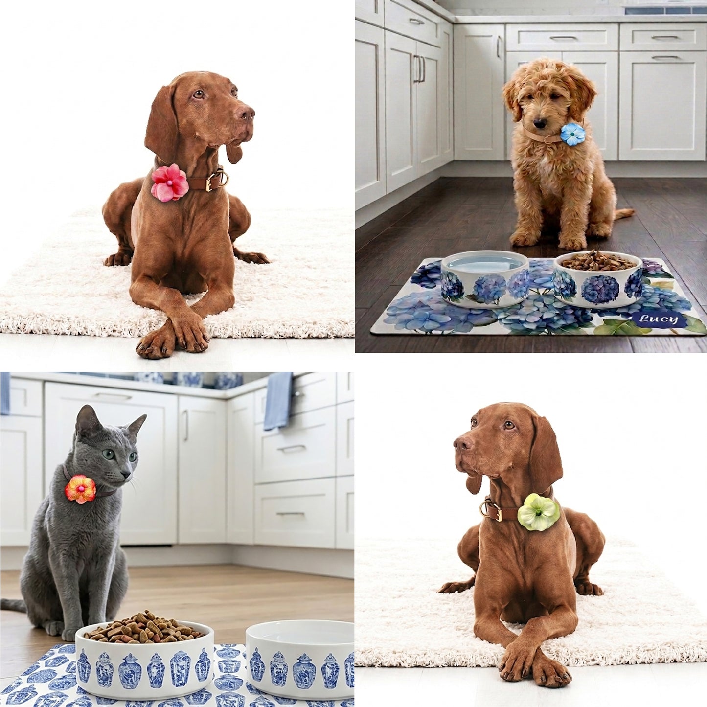 Dog Collar Flower Attachments with Beaded Center, Six Color Choices