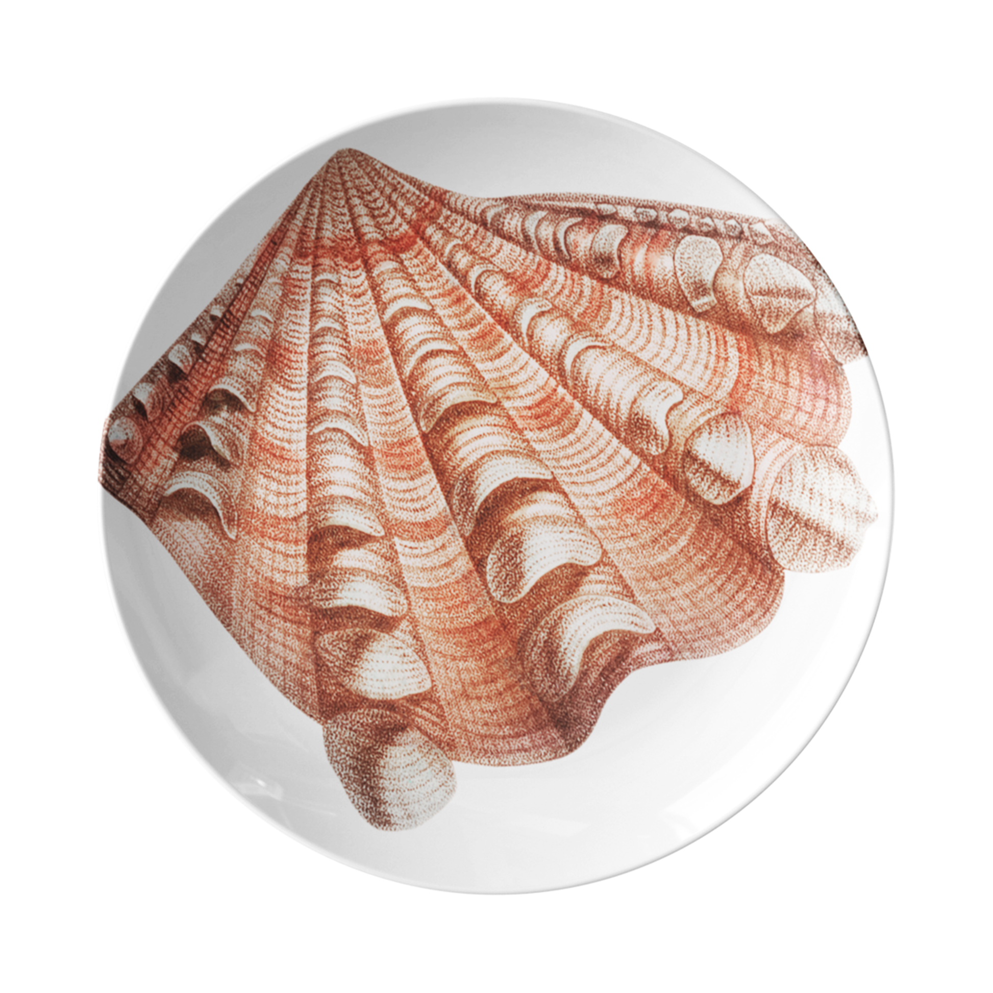 Seashell Print Plastic Plate Features a Fluted Clam Shell in coral and white stripes.