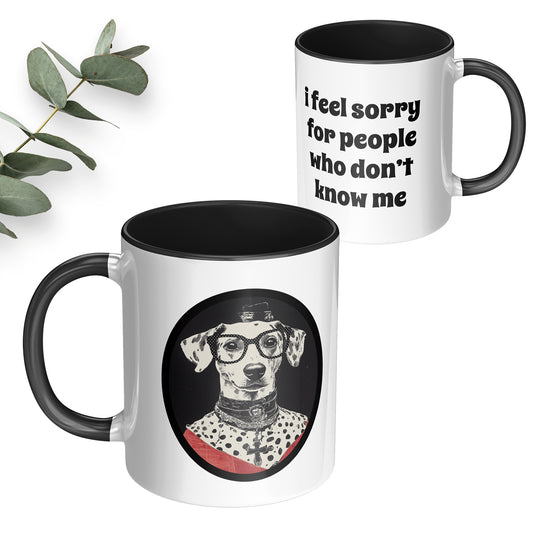 Cute dog wearing polka dot glasses is printed on front side of mug and the back side has a funny saying that says I feel sorry for people who don't know me.