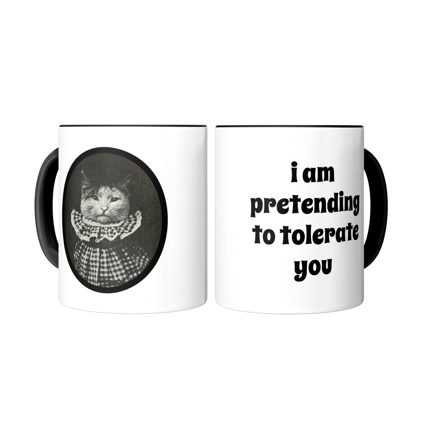 Cattitude Funny Mug - Cat in Gingham Ruffled Dress, "I am pretending to tolerate you"
