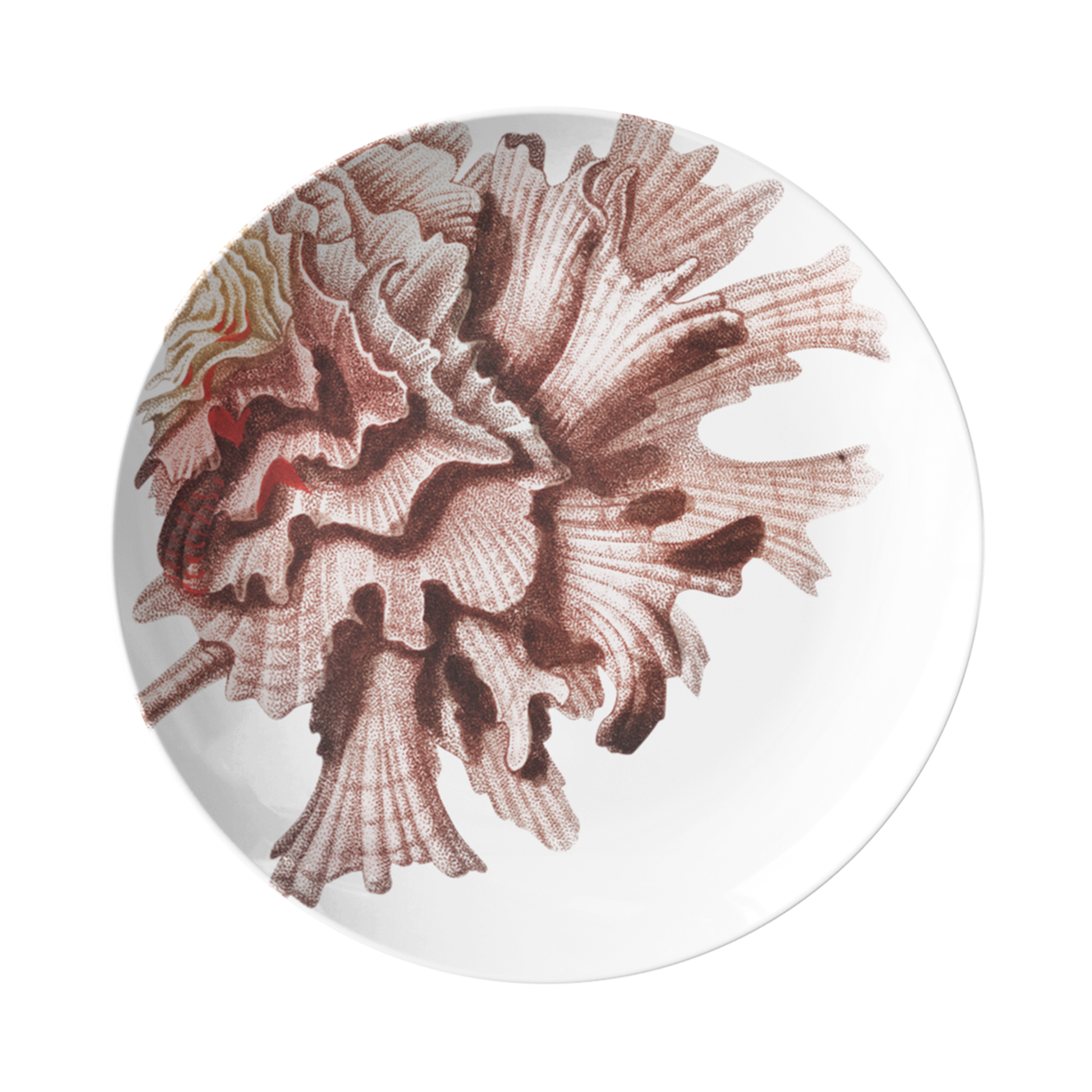 Pink Murex Coastal Seashell Print Plastic Plate