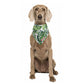 Dog wearing a personalized green monstera leaf-patterned dog bandana on a white background