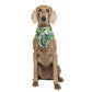 Dog wearing a monstera green leaf-patterned dog bandana personalized with name on a white background