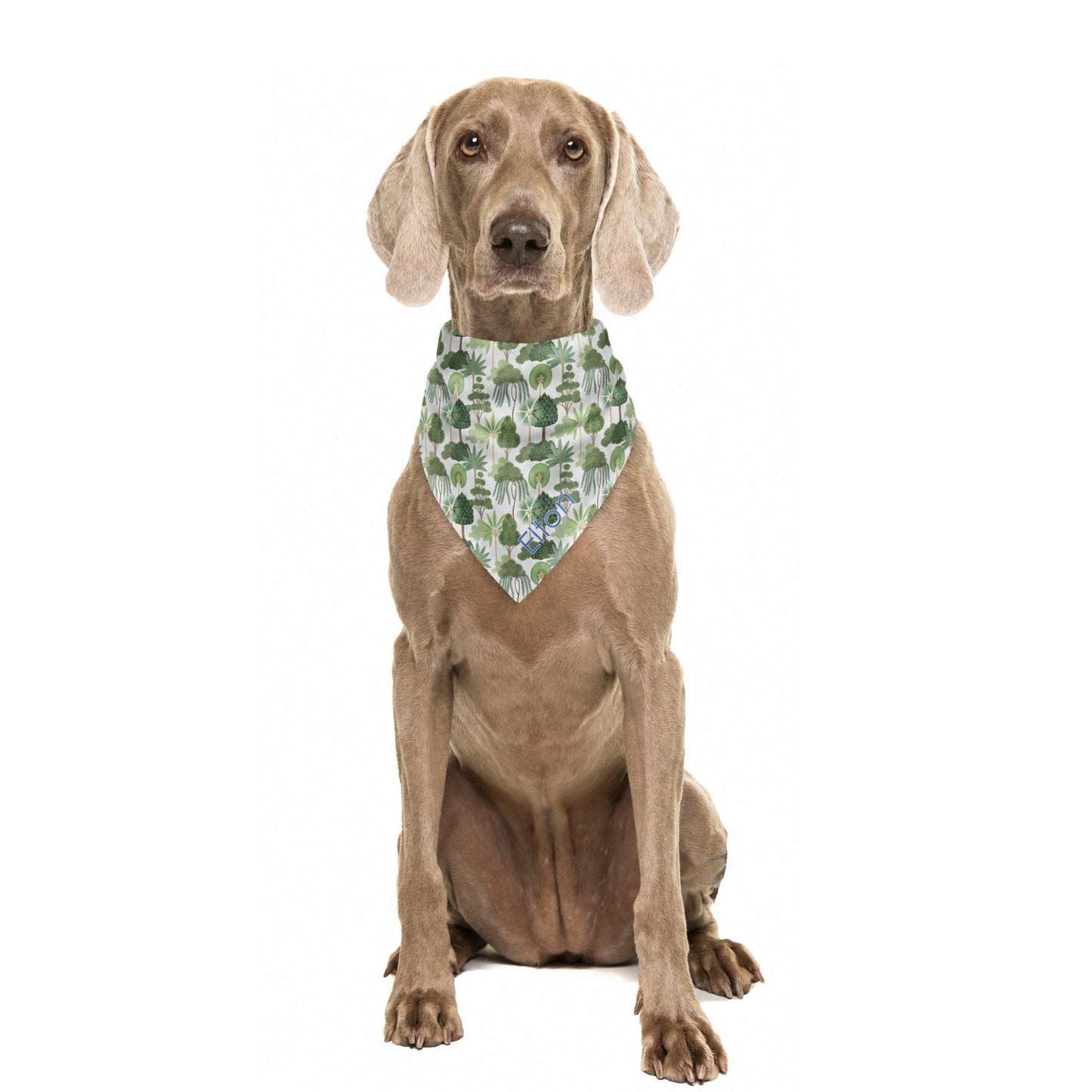 Dog wearing a green and white botanical tree print bandana personalized with custom name Elton on a white background