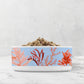 Ocean coral ceramic dog bowl in blue, orange, red and pink.