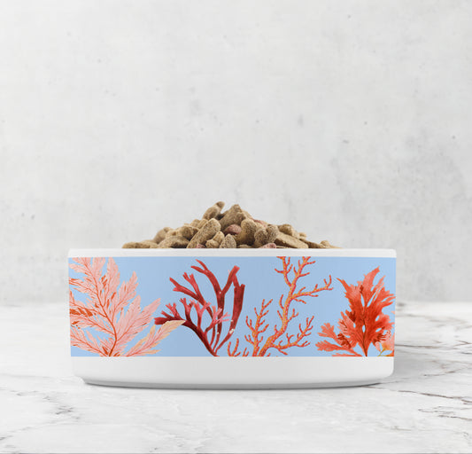 Ocean coral ceramic dog bowl in blue, orange, red and pink.