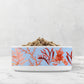 Coral Reef Pet Bowl, Ceramic, Sky Blue