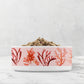 Heavy ceramic dog bowl or cat food and water bowls with colorful ocean coral sea life print in pink, orange and red. 