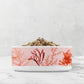 Coral Reef Pet Bowl, Ceramic, Pale Pink