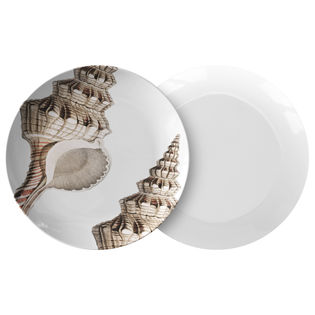 Seashell Dinnerware, Conch Sea Shell 10" Plate, ThermoSāf® Polymer Resin