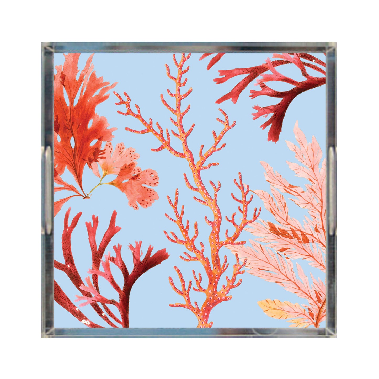 Coral Reef Acrylic Tray, 12" x 12", Sky Blue