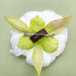Oversized Flower Pin, White Peony Fabric Flower