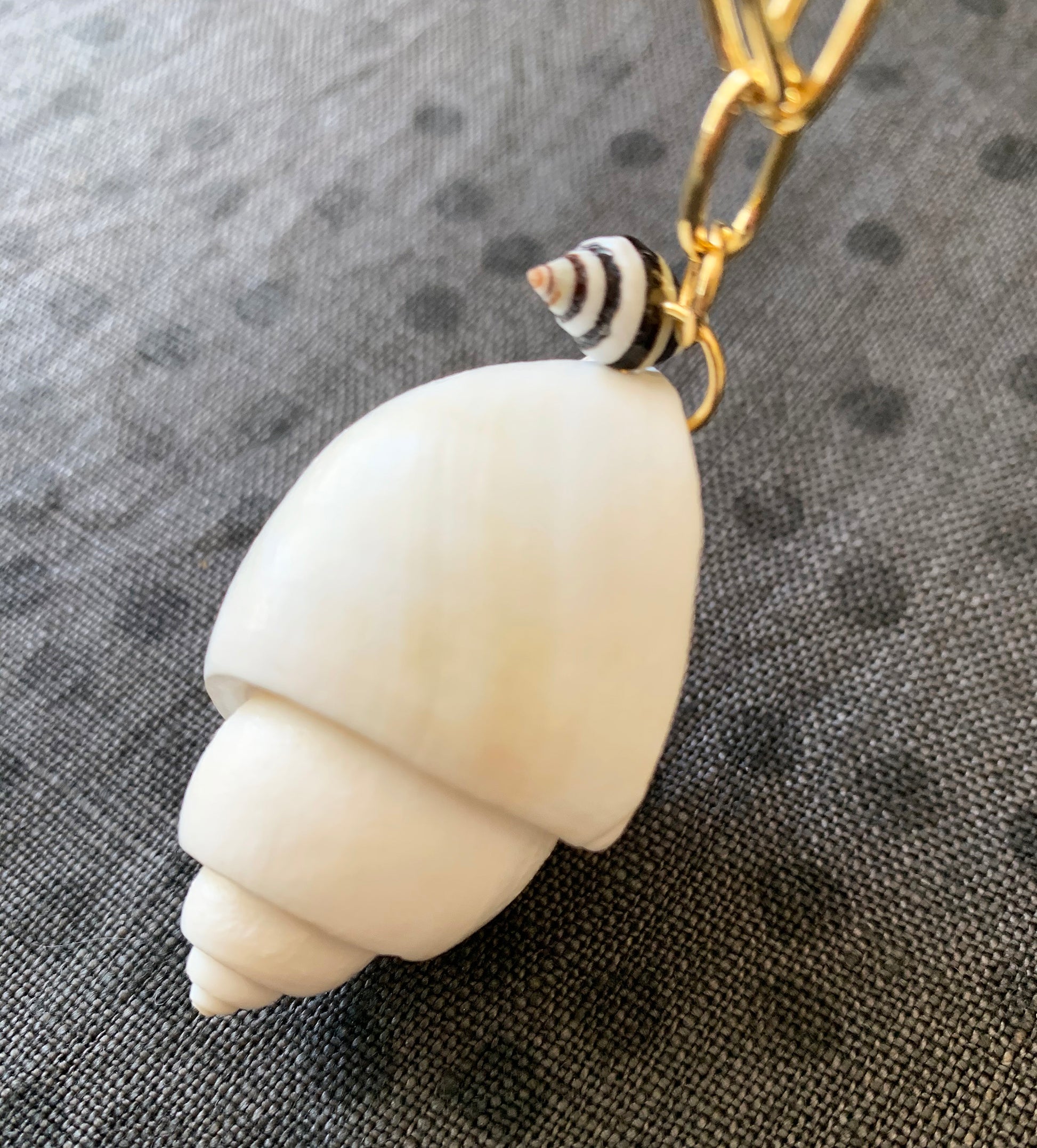White Tulip Seashell Pendant Necklace with Black & White Striped Shell Charm